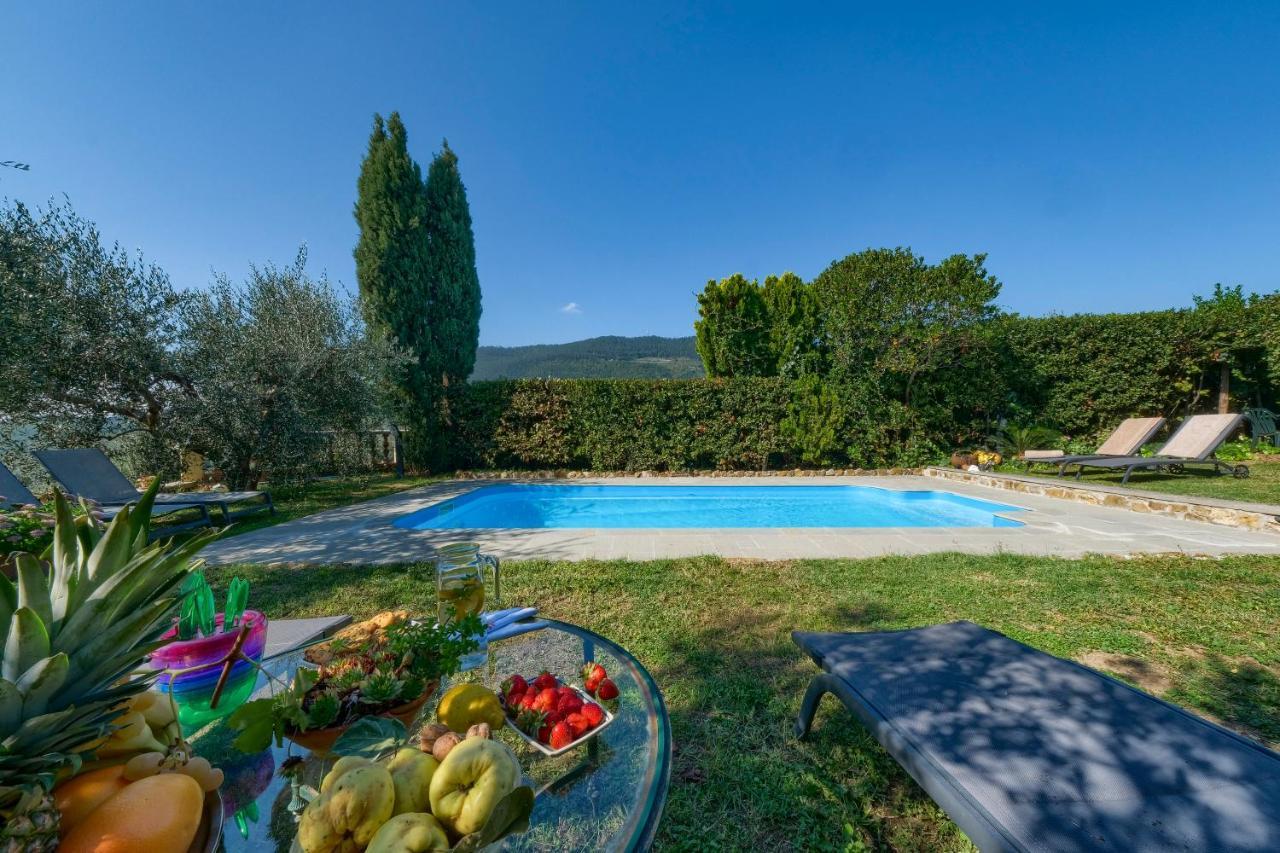 Villa Maria - In The Hills Above Florence Castiglione  Esterno foto