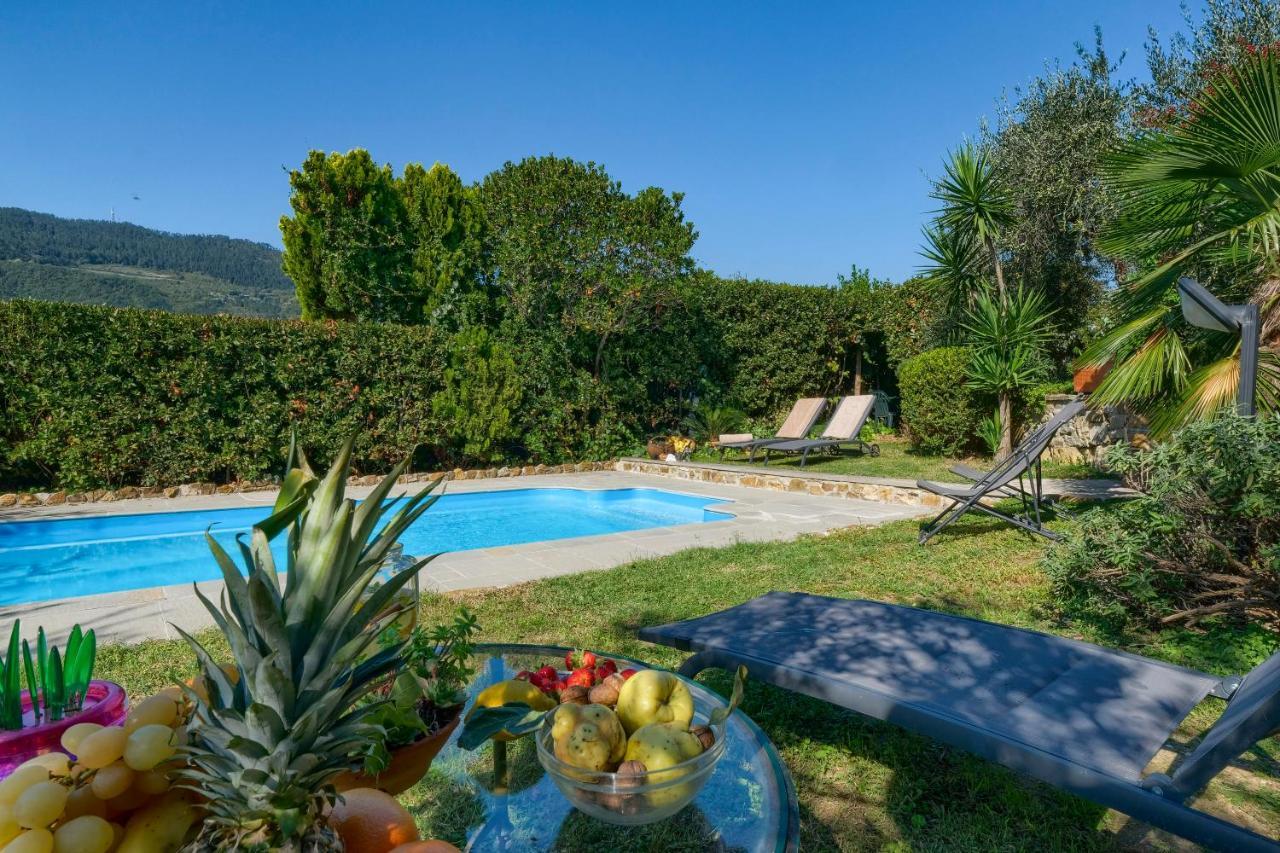 Villa Maria - In The Hills Above Florence Castiglione  Esterno foto